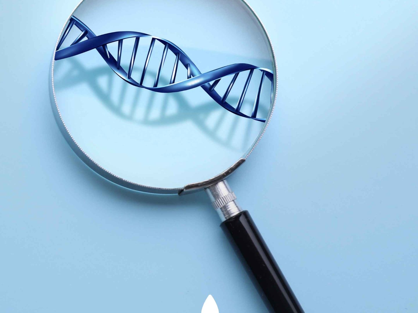 Lectura de test genético